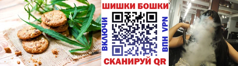 Canna-Cookies марихуана  МЕГА ссылка  Кудрово  как найти  