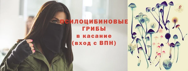 спиды Медногорск