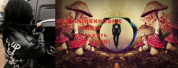 гашик Анива
