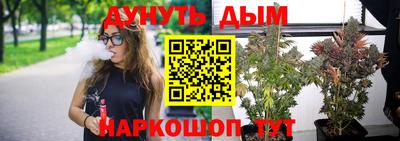 стаф Абакан