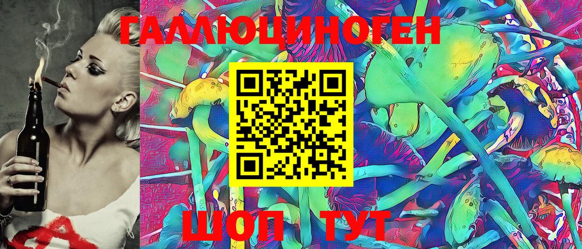 Псилоцибиновые грибы Psilocybe Кудрово